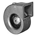 Motor caracol